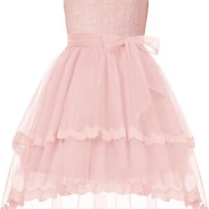 Flower Girl Dress Kids Wedding Guest Birthday Party Formal Lace Tulle Princess High Low Dresses 5-10Y